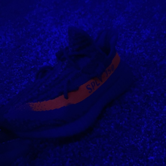 Yeezy beluga v2 - Picture 4 of 6